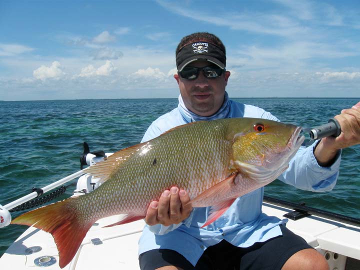 Mutton Snapper