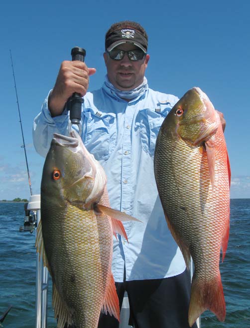 Mutton Snapper