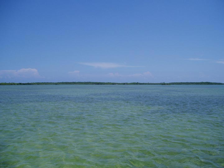 Biscayne Bay