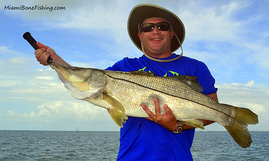 Snook